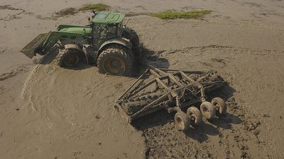 Mechanical manipulation as well as flooding are necessary to create optimal waterfowl habitat