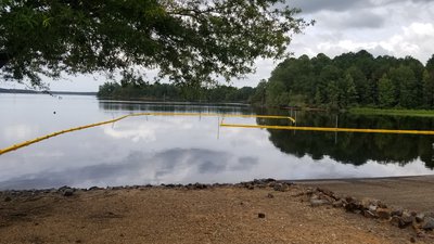 Booms prevent salvinia spread