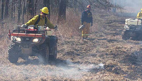 Controlled burn