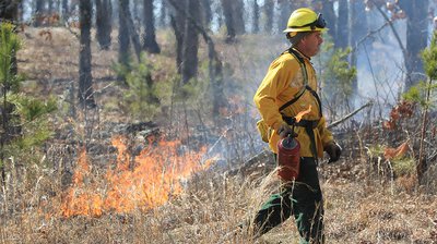 Controlled Burn109583.JPG