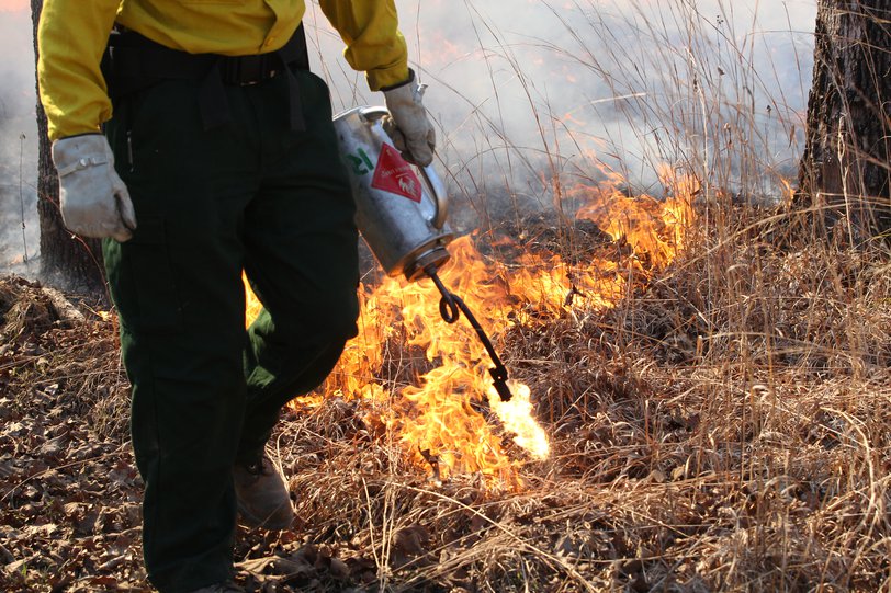 Prescribed fire can transform a property to benefit wildlife