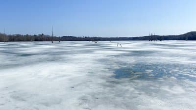 Lake Conway frozen