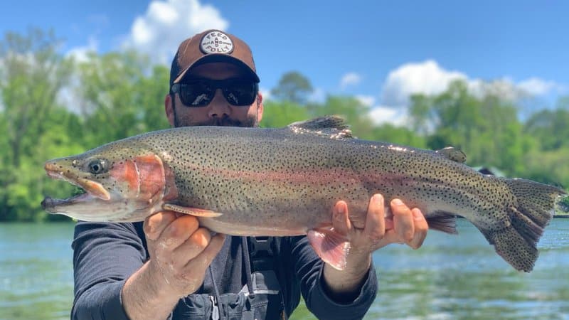 Fish the Finesse Float Rig for Trout - Game & Fish