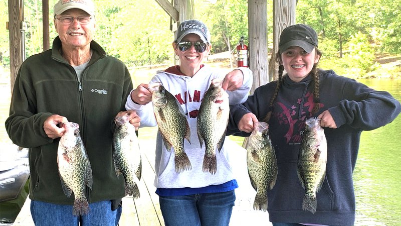 Jump fishing' a sure way to enjoy summer white bass  The Arkansas  Democrat-Gazette - Arkansas' Best News Source