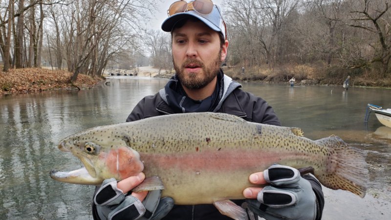 Trout fishing for 'jerks'  The Arkansas Democrat-Gazette - Arkansas' Best  News Source