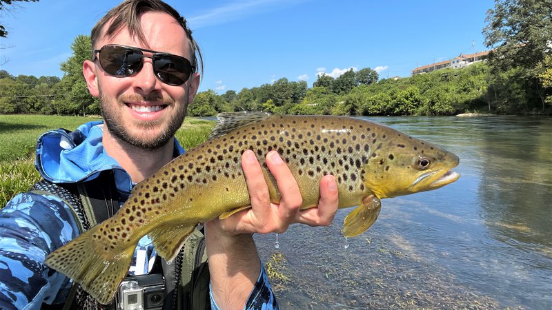 Trout fishing for 'jerks'  The Arkansas Democrat-Gazette - Arkansas' Best  News Source