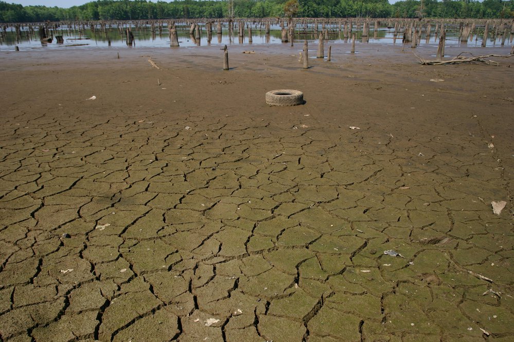 A drawdown will allow heavy layers of silt to compact and crack, regaining some of the lake’s original depth. Photo from 2006 Lake Conway drawdown.