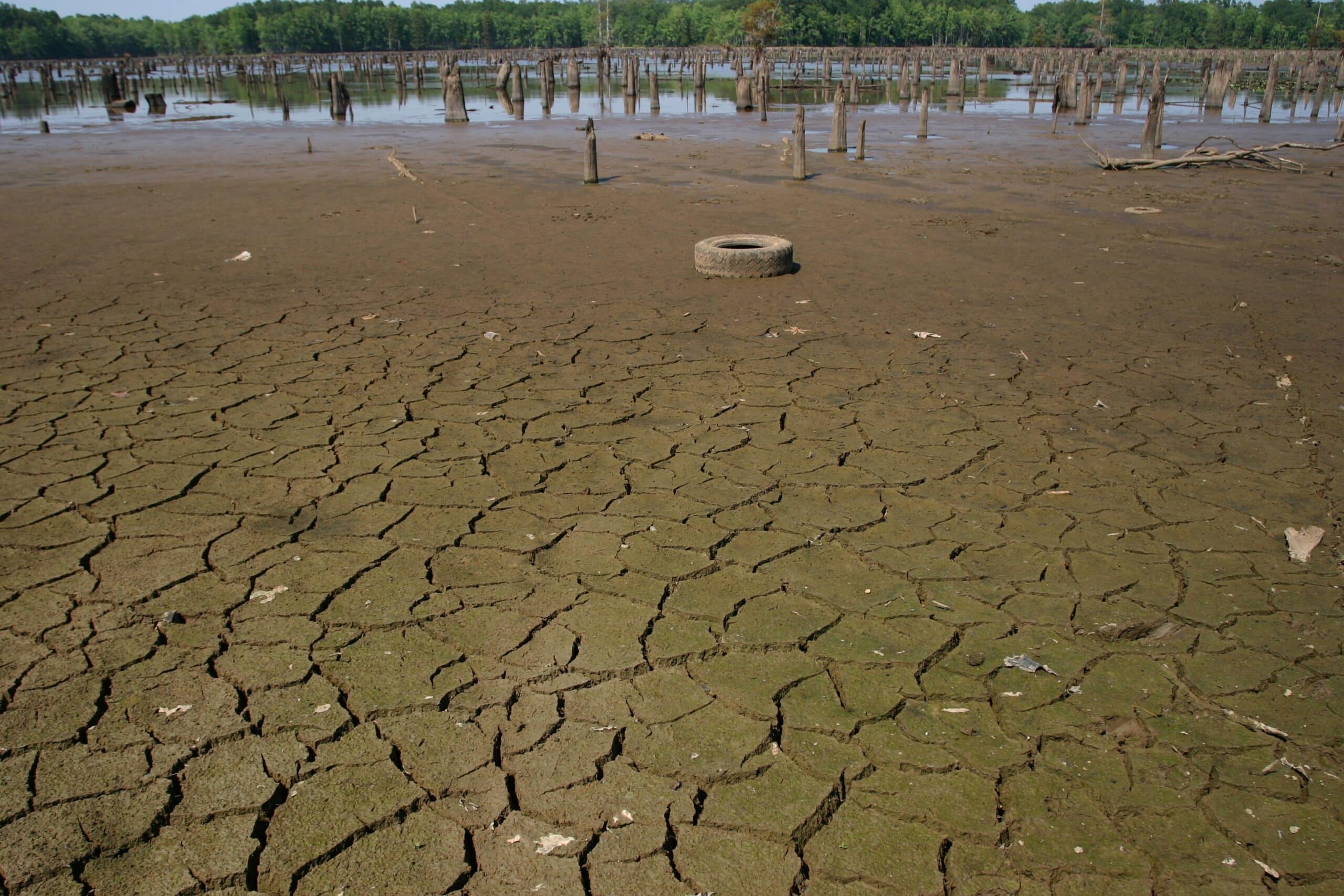 cracking lakebed