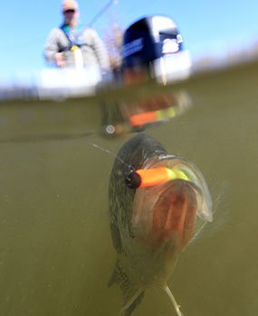 Crappie fishing