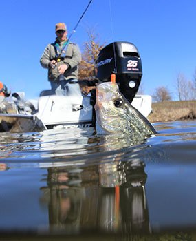 Man in boat pulling reeling crappie in