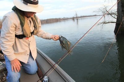 Angler next to tree: Live-imaging sonar is the latest advancement to technology to help anglers locate and catch fish.