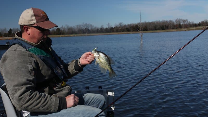 Angler survey study shows no impact from live sonar • Arkansas Game & Fish  Commission