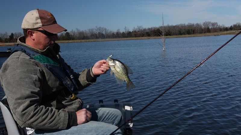 Angler survey study shows no impact from live sonar • Arkansas