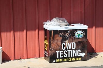 Free CWD testing will be available again this year for hunters.
