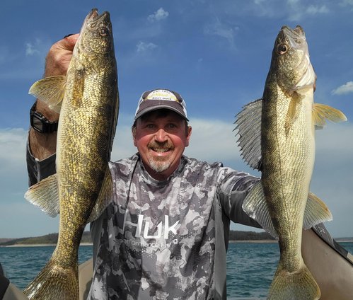 Fisherman with two walleye catches