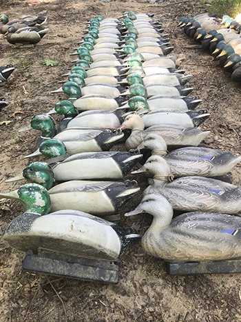 Donated decoys offer new life as conservation art pieces