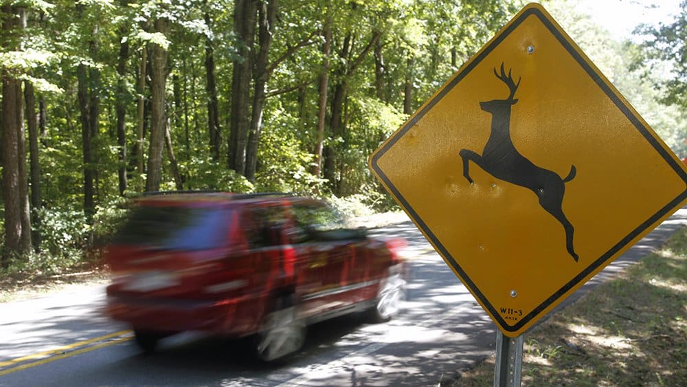 Deer crossing sign