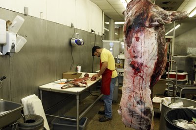 Butcher processing deer