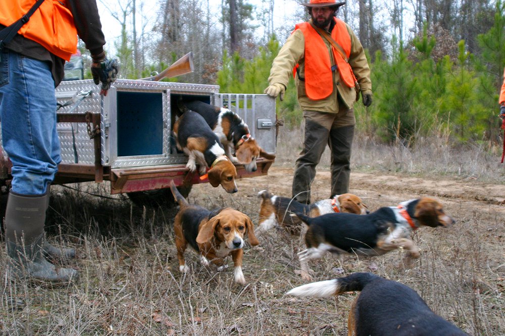 The area offers good opportunities for hunting rabbits, deer and waterfowl.
