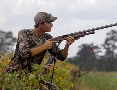 Cover is important with dove hunting