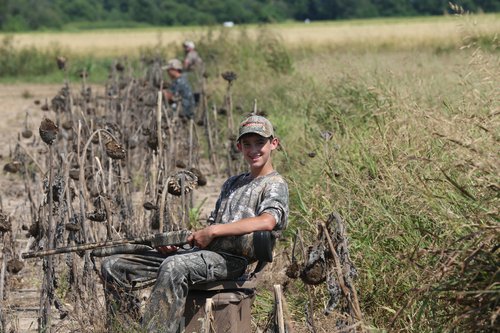 Dove hunting