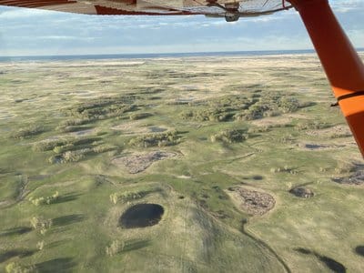 Observers noted wetland losses during 2022 surveys.