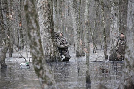 Duck hunting Bayou Meto WMA