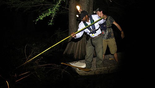 Frog gigging at night from flatbottom boat