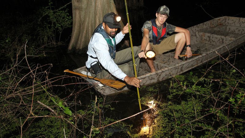 Wet spring, warm outlook set stage for frog hunting • Arkansas Game & Fish  Commission