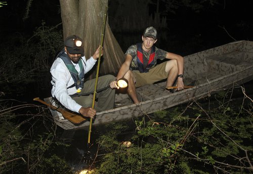 Frog gigging can be done from the bank or by boat