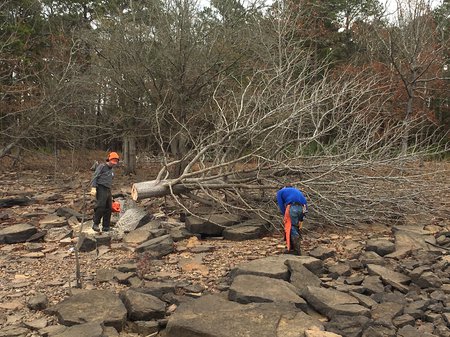 Greers Habitat Project Dec 2020 - Matt H (8).JPG