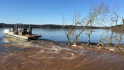 Greeson habitat project