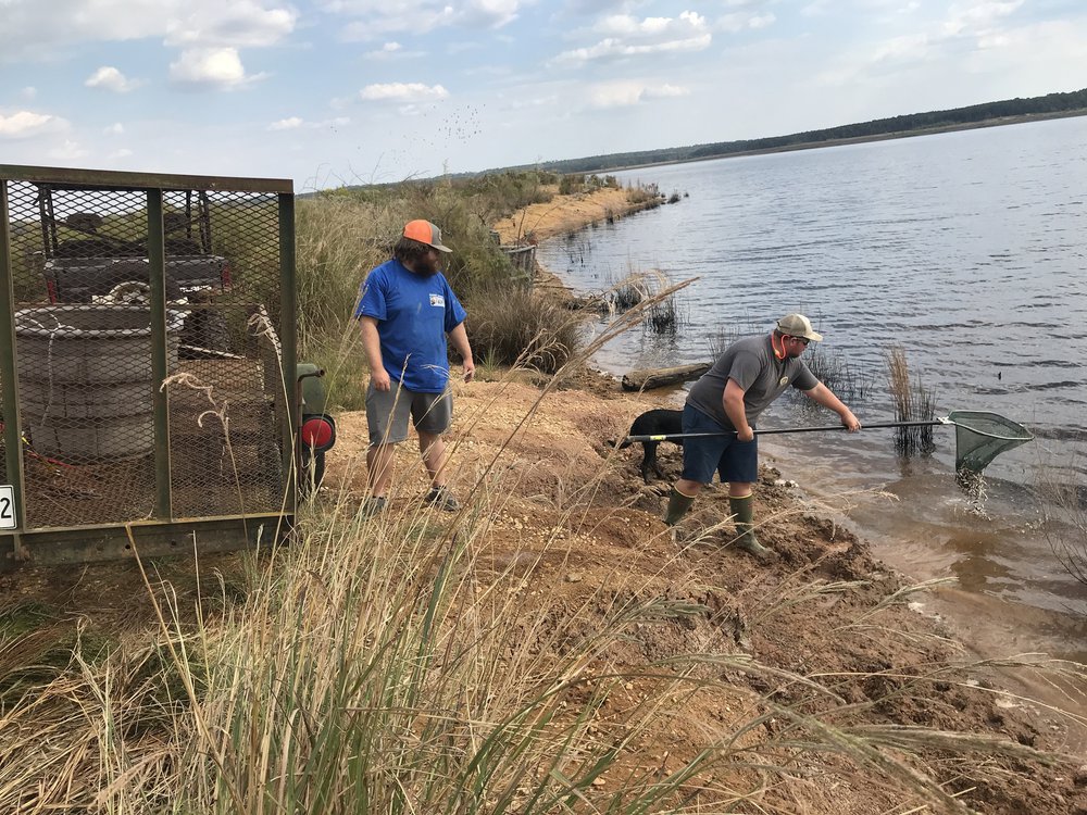 hand-stocking baitfish