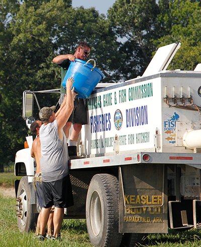 Stripers being loaded into a hatchery truck