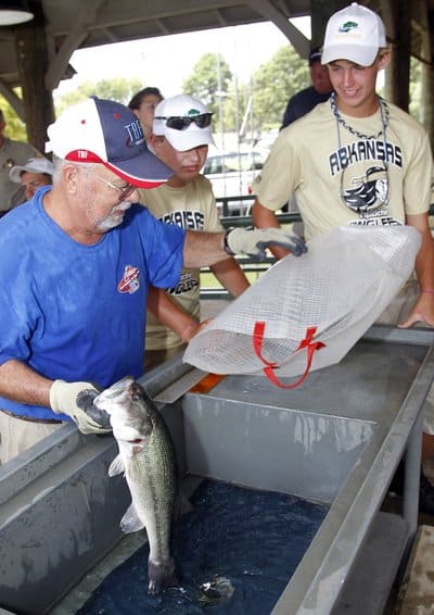 The AGFC provides many weigh-in stations for tournaments throughout the state.