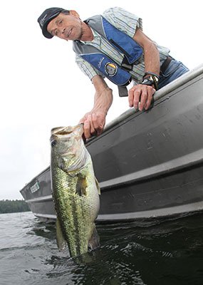 Hybrid striper