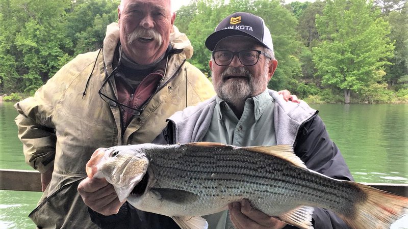 Arkansas Wildlife Weekly Fishing Report • Arkansas Game & Fish