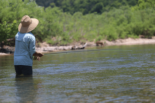 Angler Free Fishing Weekend will be June 9-11 this year. Anglers may fish without a license or trout stamp during this weekend.