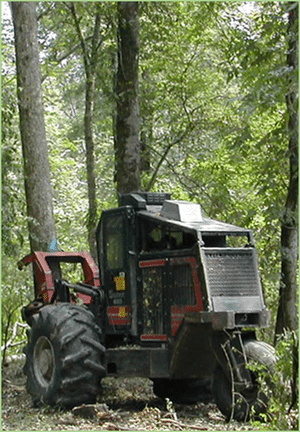 Feller buncher image: Selective harvest of sick and undesirable trees will make room for remaining red oaks to begin the next generation of mallard-friendly forest.