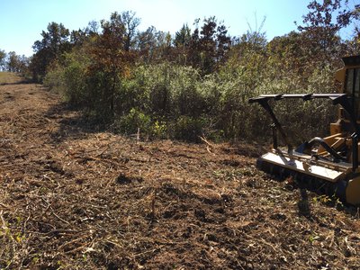 Mulching work has been conducted on 600 acres of habitat already through quail and turkey stamps.