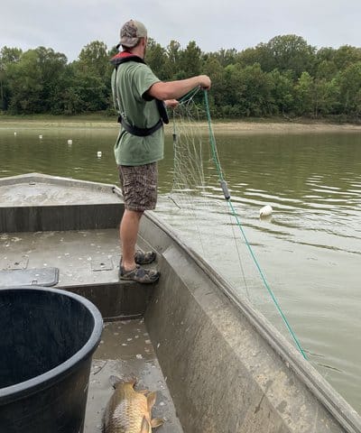 Invasive carp removal teams begin work on White River • Arkansas Game &  Fish Commission