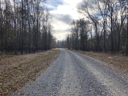 The new ramp and road are on NWR property.