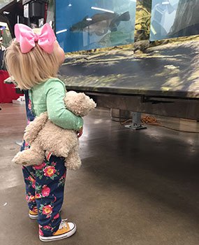 Toddler at mobile aquarium