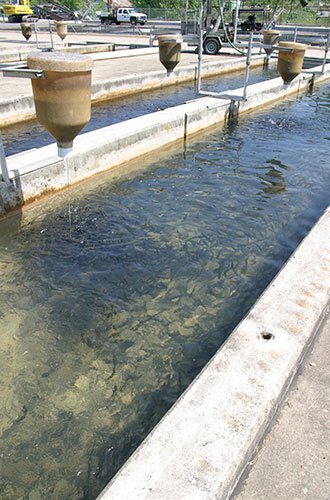 Jim Hinkle Spring River State Fish Hatchery