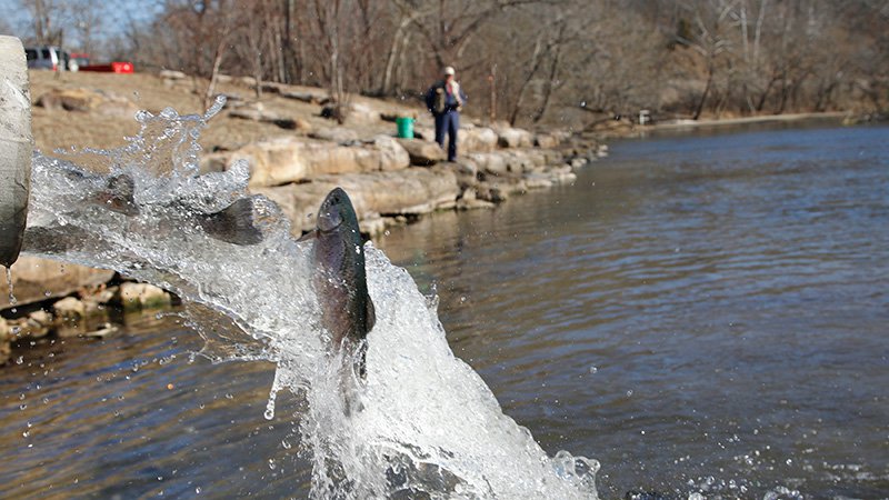 jim-hinkle-hatchery183694__800x450_q85_crop_subsampling-2