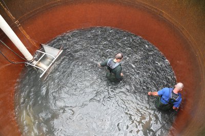 silos at the Jim Hinkle State Fish Hatchery in Mammoth Spring are in need of renovation.