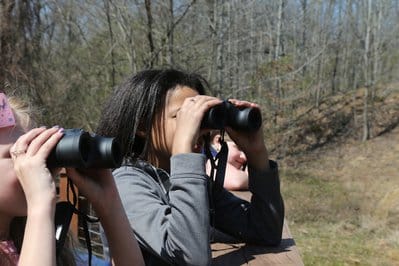 birdwatchers