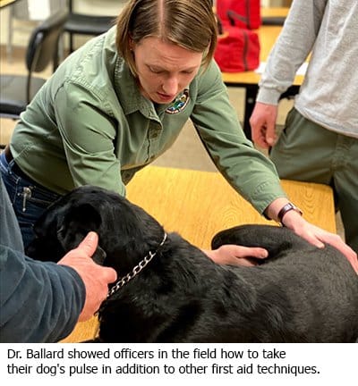 Dr. Ballard showed officers in the field how to take their dog's pulse in addition to other first aid techniques.