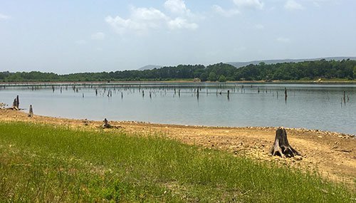 Lake Wilhelmina at low level