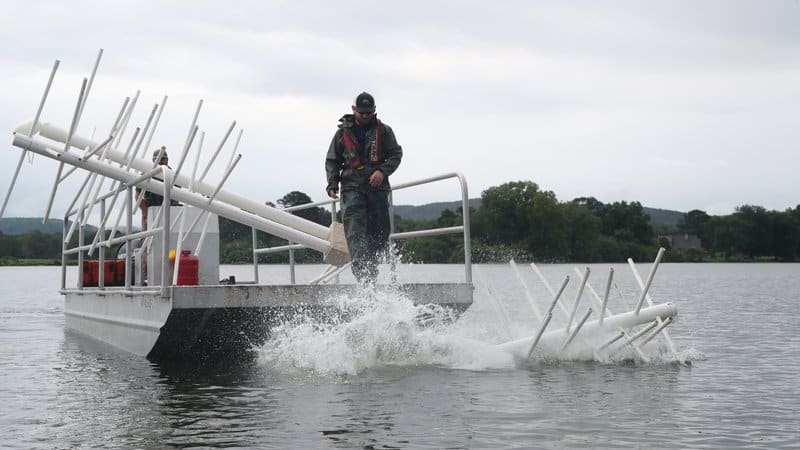 https://www.agfc.com/wp-content/uploads/2023/10/lake_hamilton_habitat_project-19369__800x450_q85_crop_subsampling-2.jpg